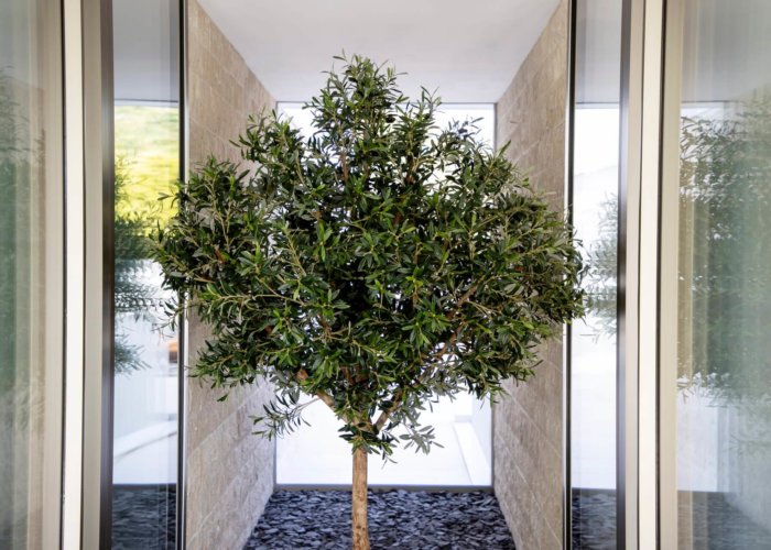 Die Reise von amadeus – Chronik einer Innovation